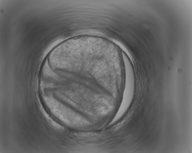 X0000081490999200702100025