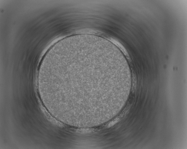 X0000081491000200702100025