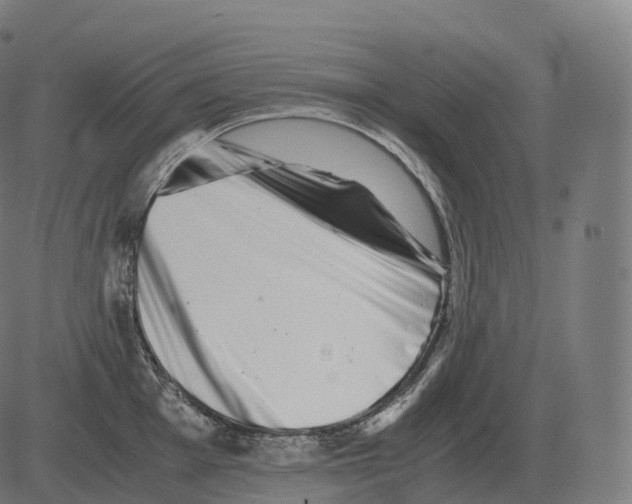 X0000081491001200702100025