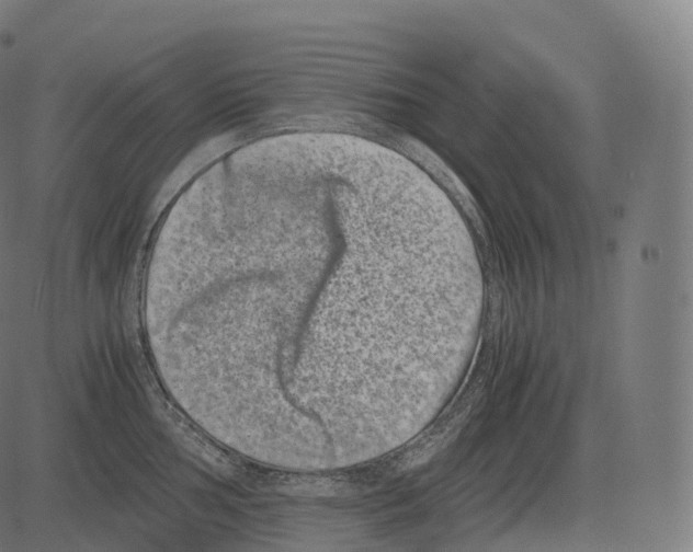 X0000081491002200702100025