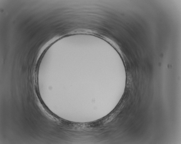 X0000081491003200702100025