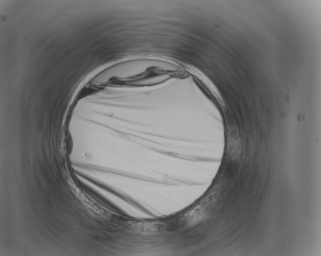 X0000081491004200702100025