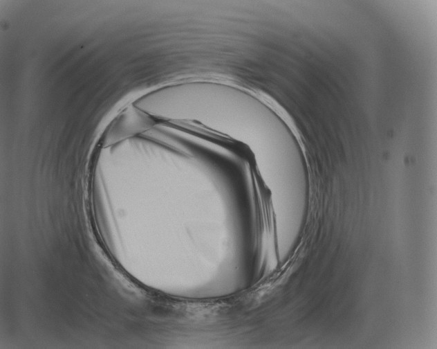 X0000081491005200702100025