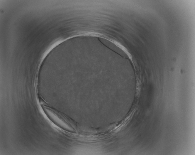 X0000081491007200702100025