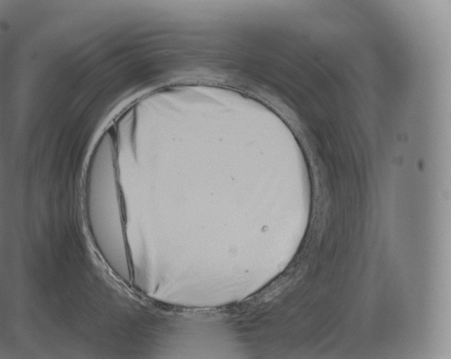 X0000081491008200702100025