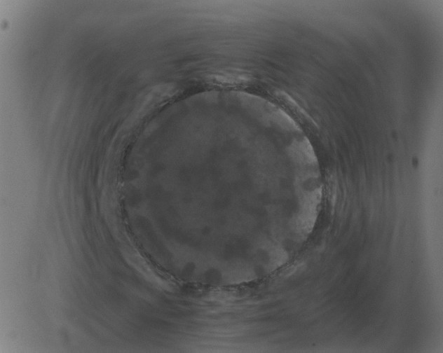 X0000081491009200702100024