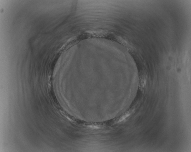 X0000081491010200702100024