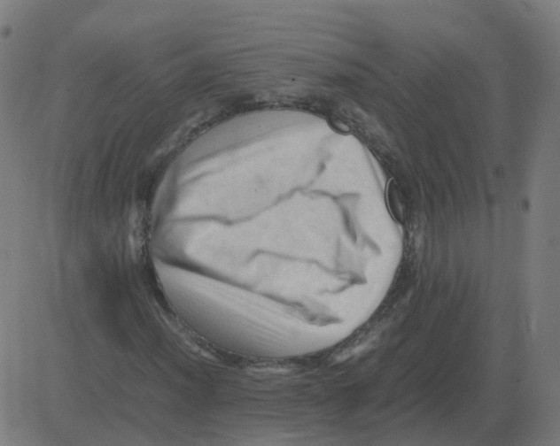 X0000081491012200702100024