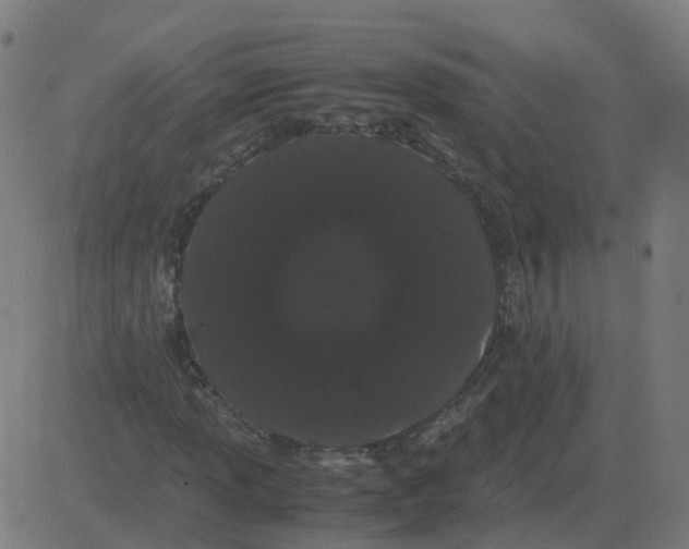 X0000081491013200702100024