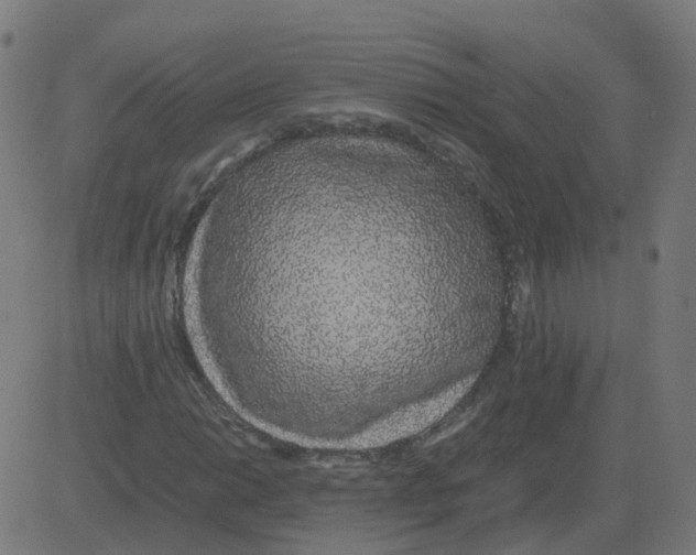 X0000081491014200702100024