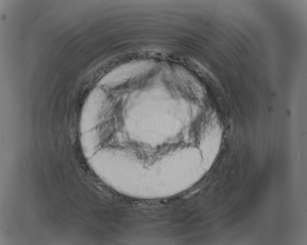 X0000081491015200702100024