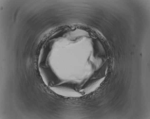 X0000081491016200702100024