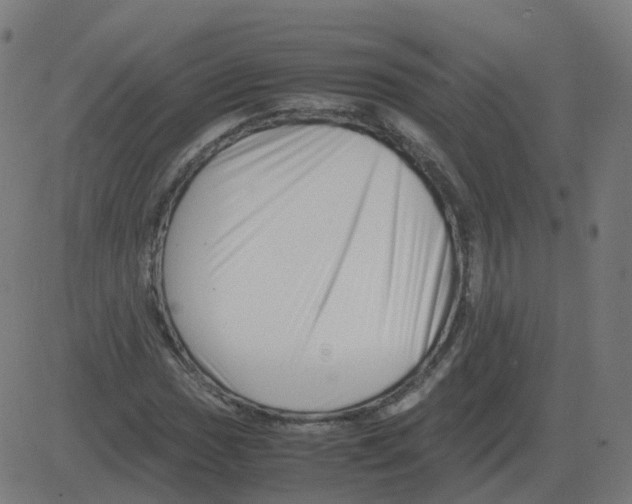 X0000081491017200702100024