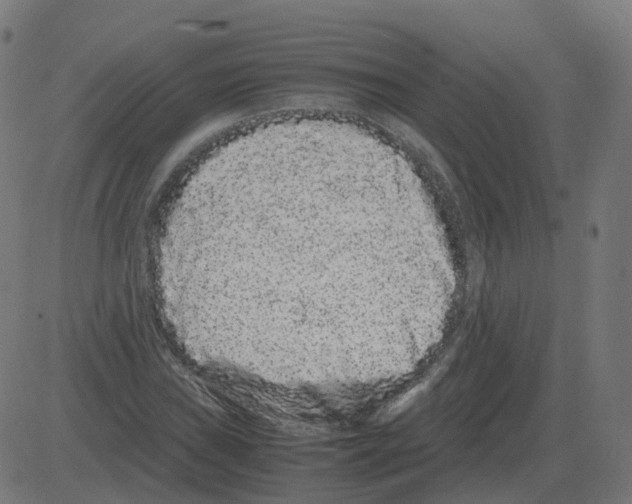 X0000081491019200702100025