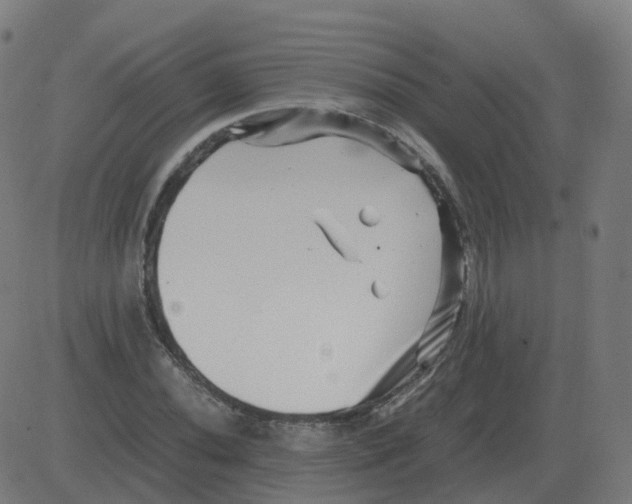 X0000081491020200702100025