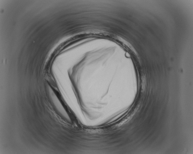 X0000081491021200702100025