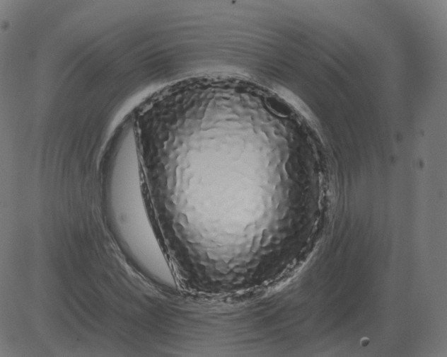 X0000081491022200702100025