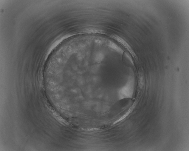 X0000081491023200702100025