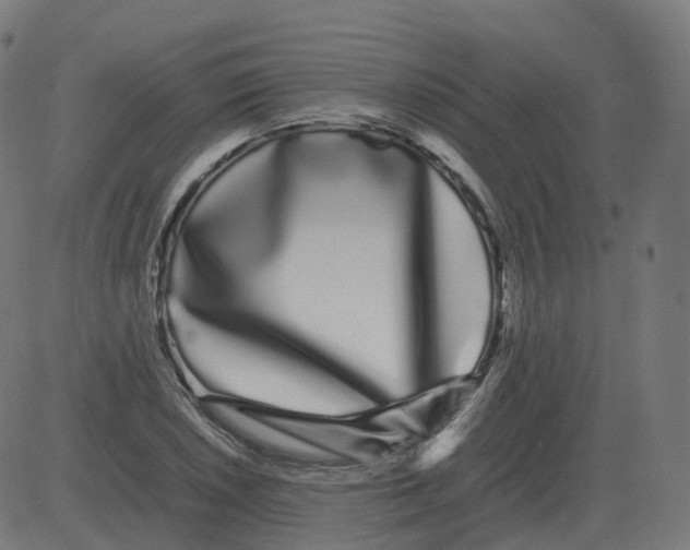 X0000081491026200702100025