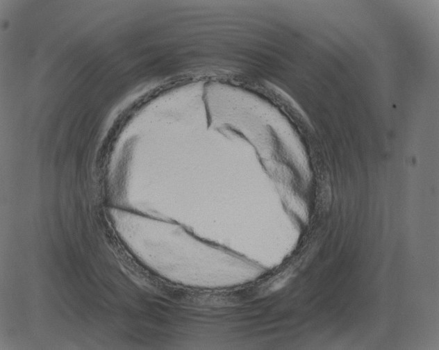 X0000081491027200702100025