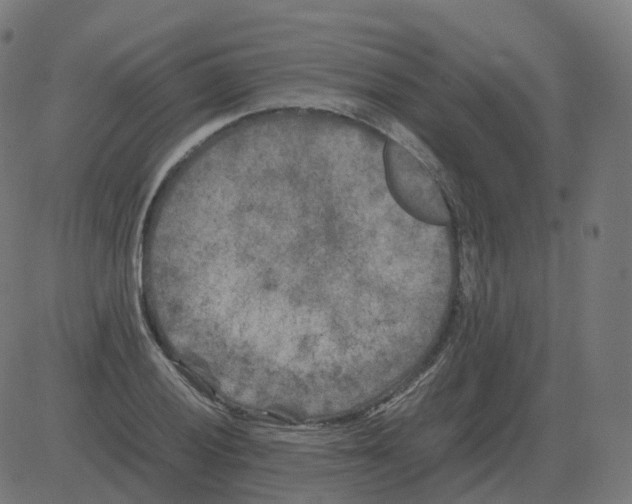 X0000081491028200702100025