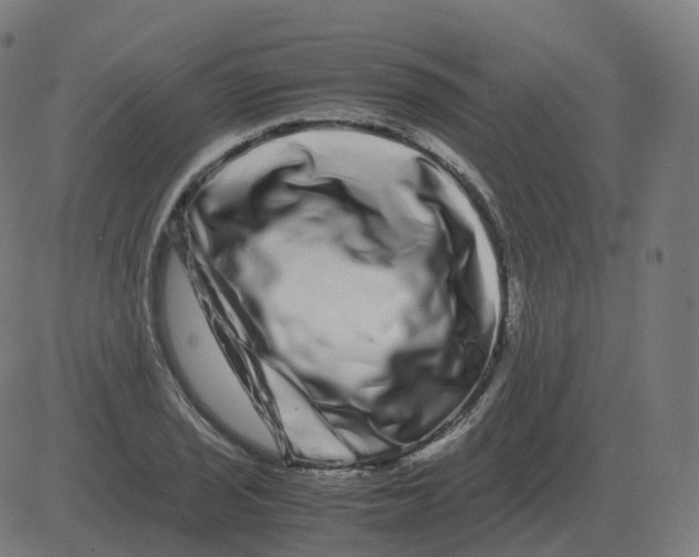 X0000081491029200702100025