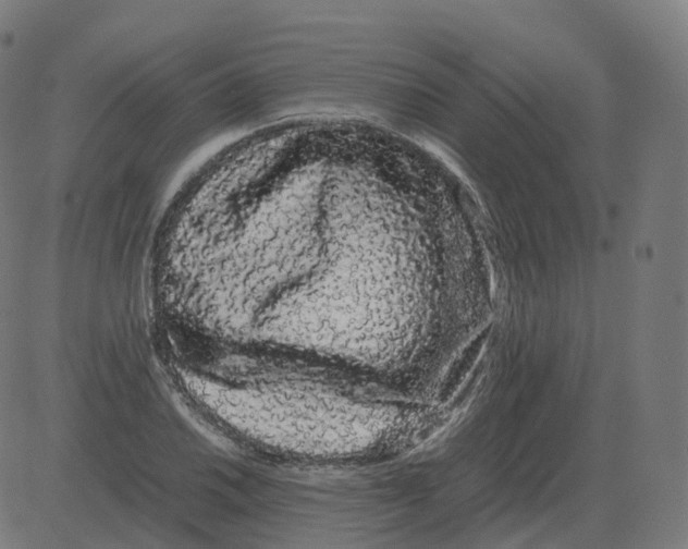 X0000081491030200702100025