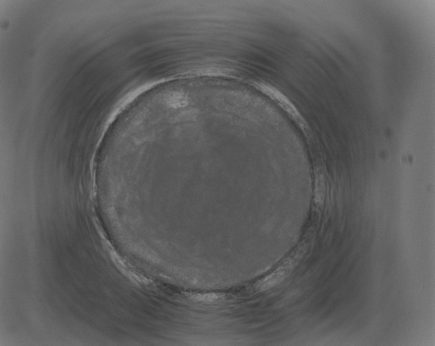 X0000081491031200702100025