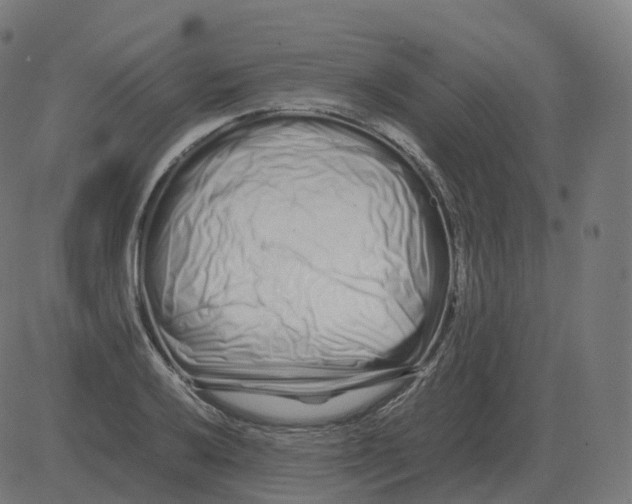 X0000081491032200702100025