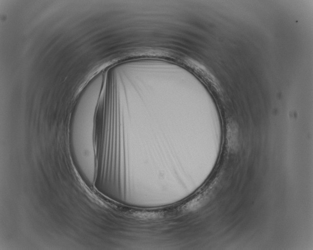 X0000081491033200702100025