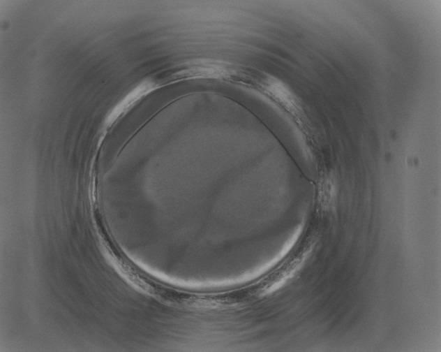 X0000081491034200702100025