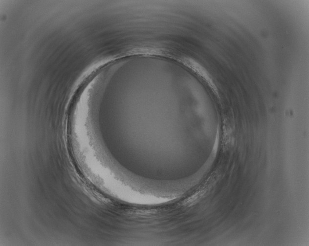 X0000081491035200702100025