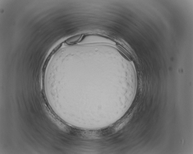 X0000081491036200702100025