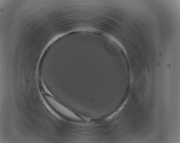 X0000081491037200702100025