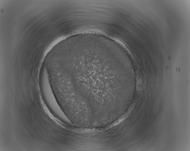 X0000081491038200702100025