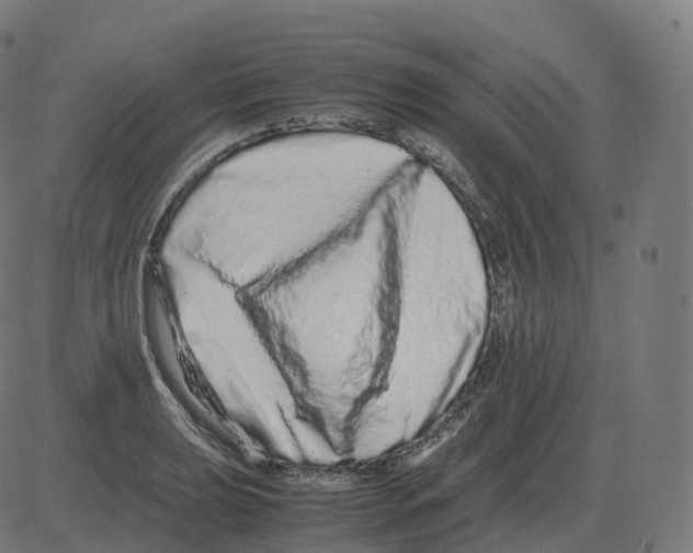 X0000081491039200702100025