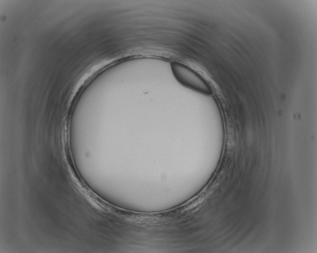 X0000081491040200702100025