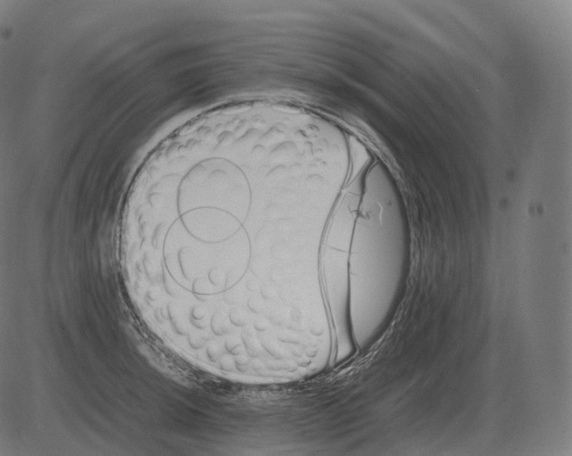 X0000081491044200702100025