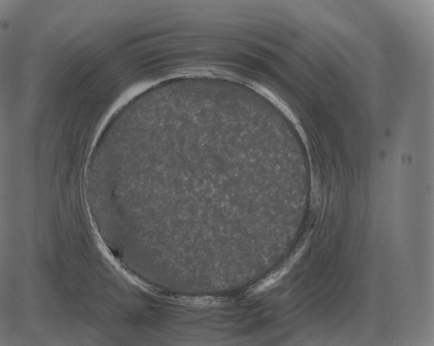 X0000081491045200702100025