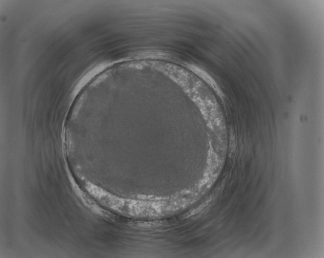 X0000081491047200702100025