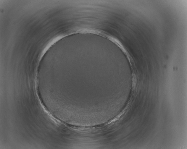 X0000081491048200702100025