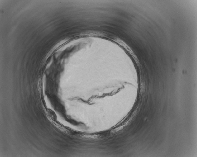 X0000081491049200702100025