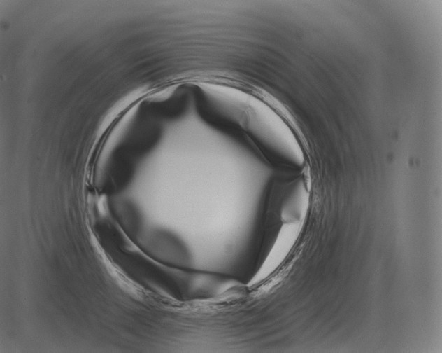 X0000081491050200702100025