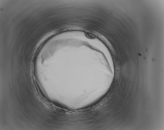 X0000081491051200702100025