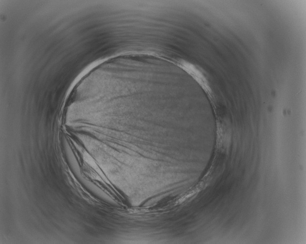 X0000081491052200702100025