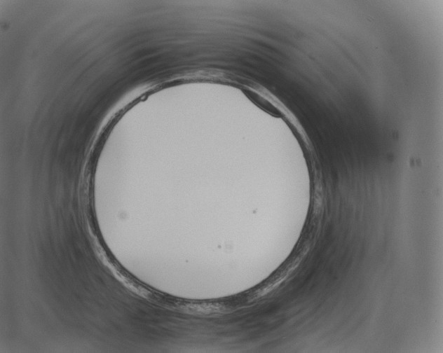 X0000081491053200702100025