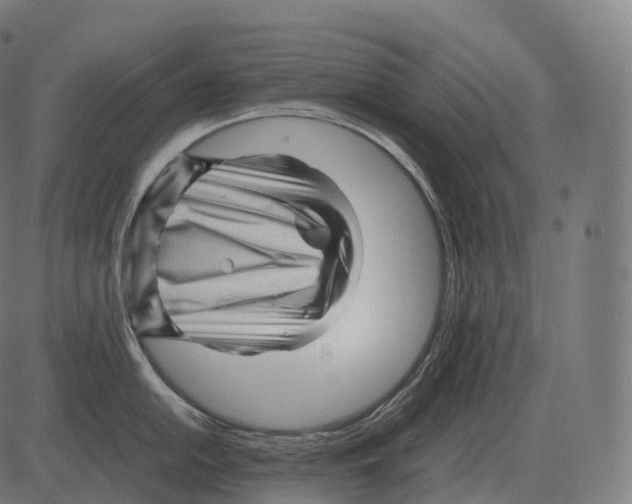 X0000081491054200702100025