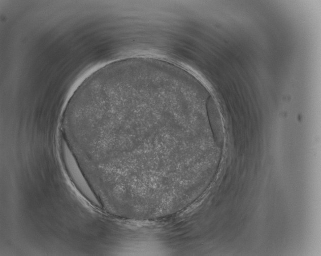 X0000081491056200702100025