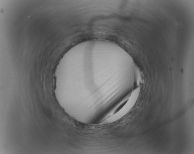 X0000081491057200702100024