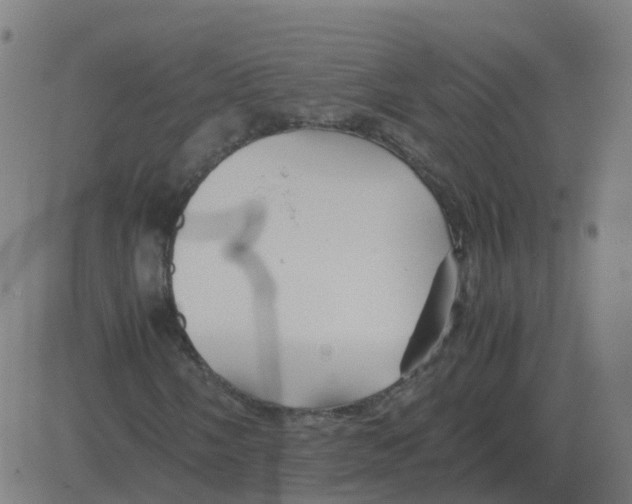 X0000081491058200702100024